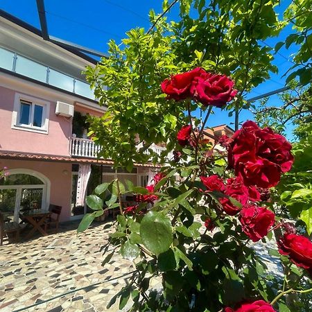 Apartments Tereza Novigrad Istria Esterno foto