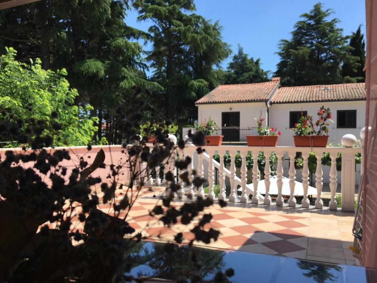 Apartments Tereza Novigrad Istria Esterno foto