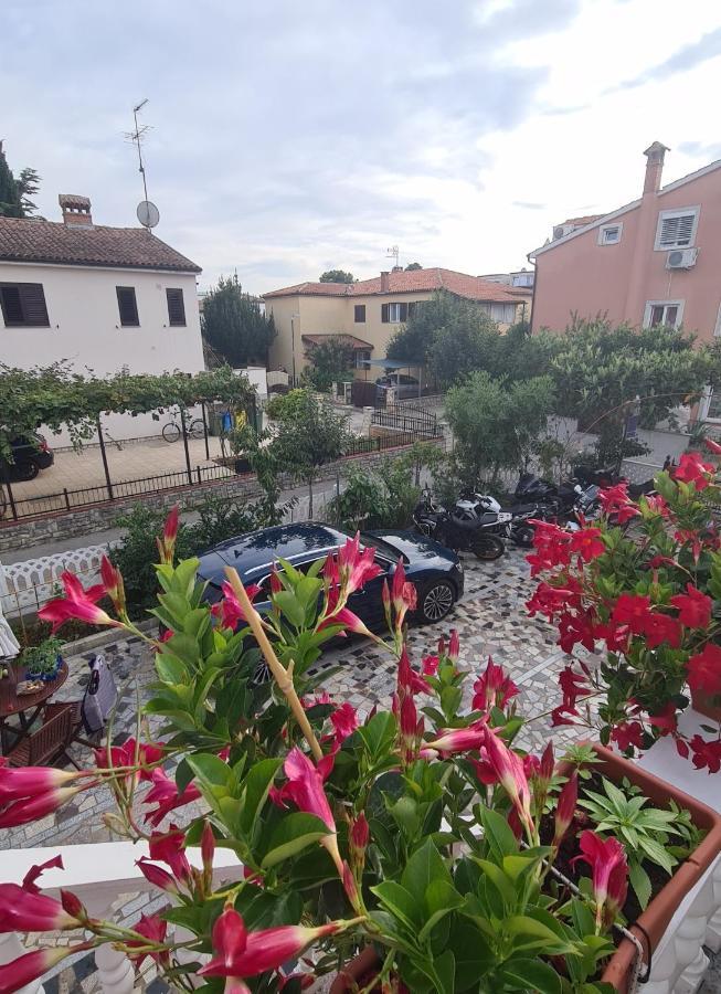 Apartments Tereza Novigrad Istria Esterno foto