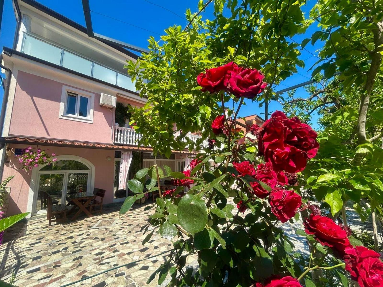 Apartments Tereza Novigrad Istria Esterno foto